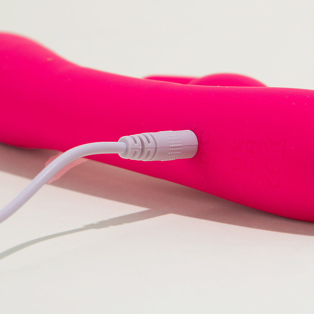 Lapin coquin Passage du désir