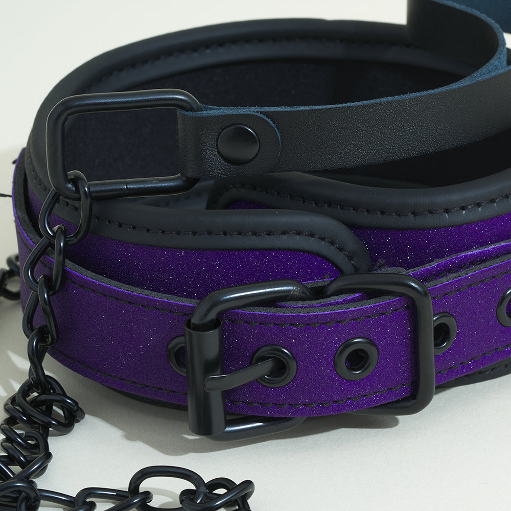Collier et laisse Pop - Violet pailleté