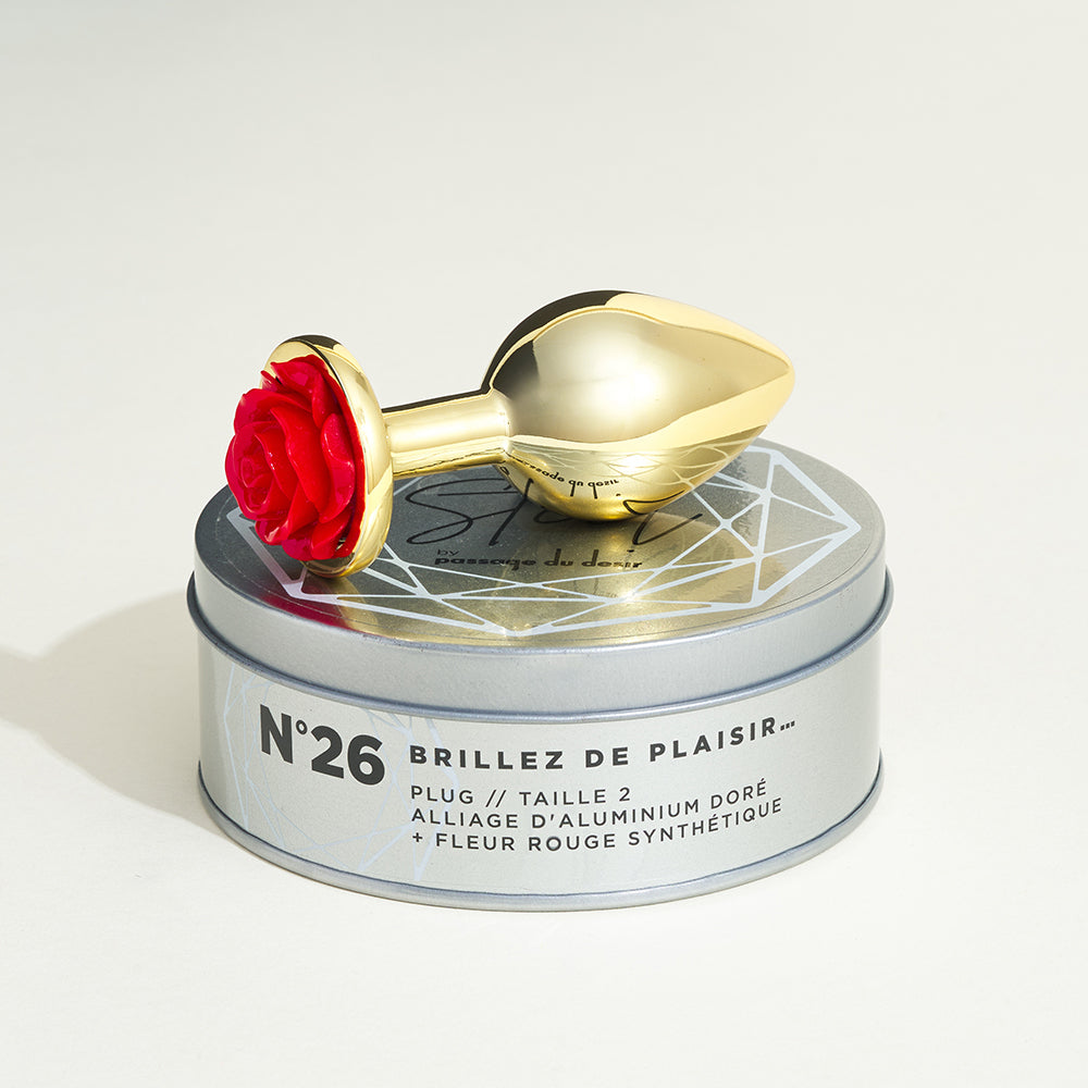 Plug métal bijou rose Steel - M