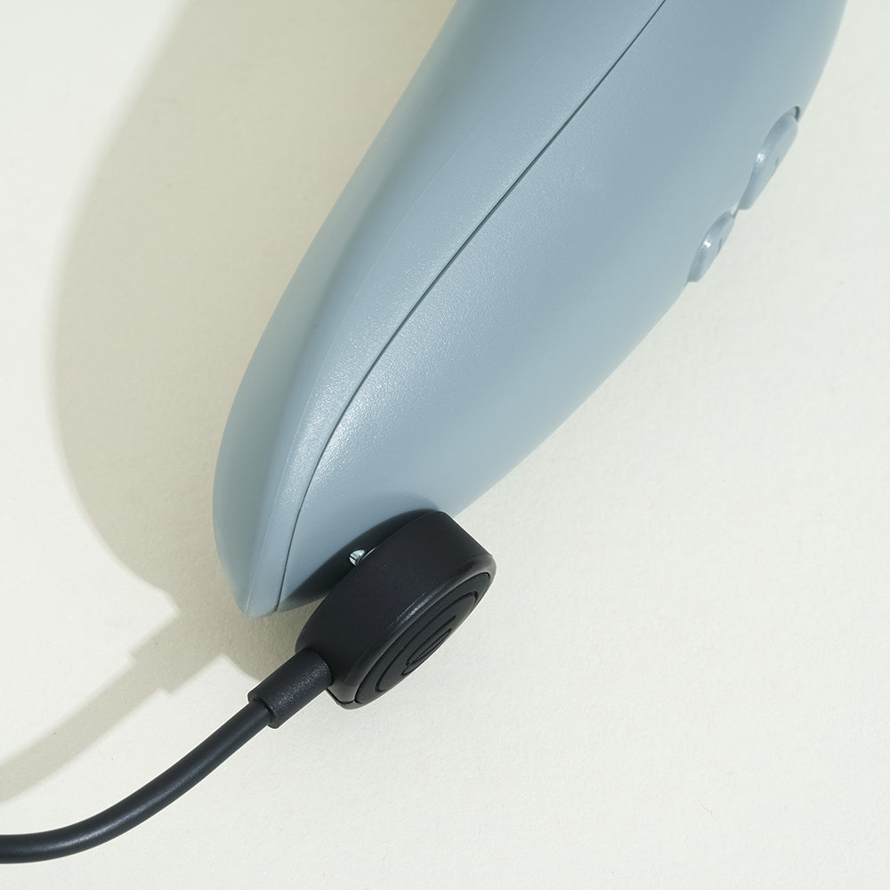 Womanizer Starlet 3 - Gris