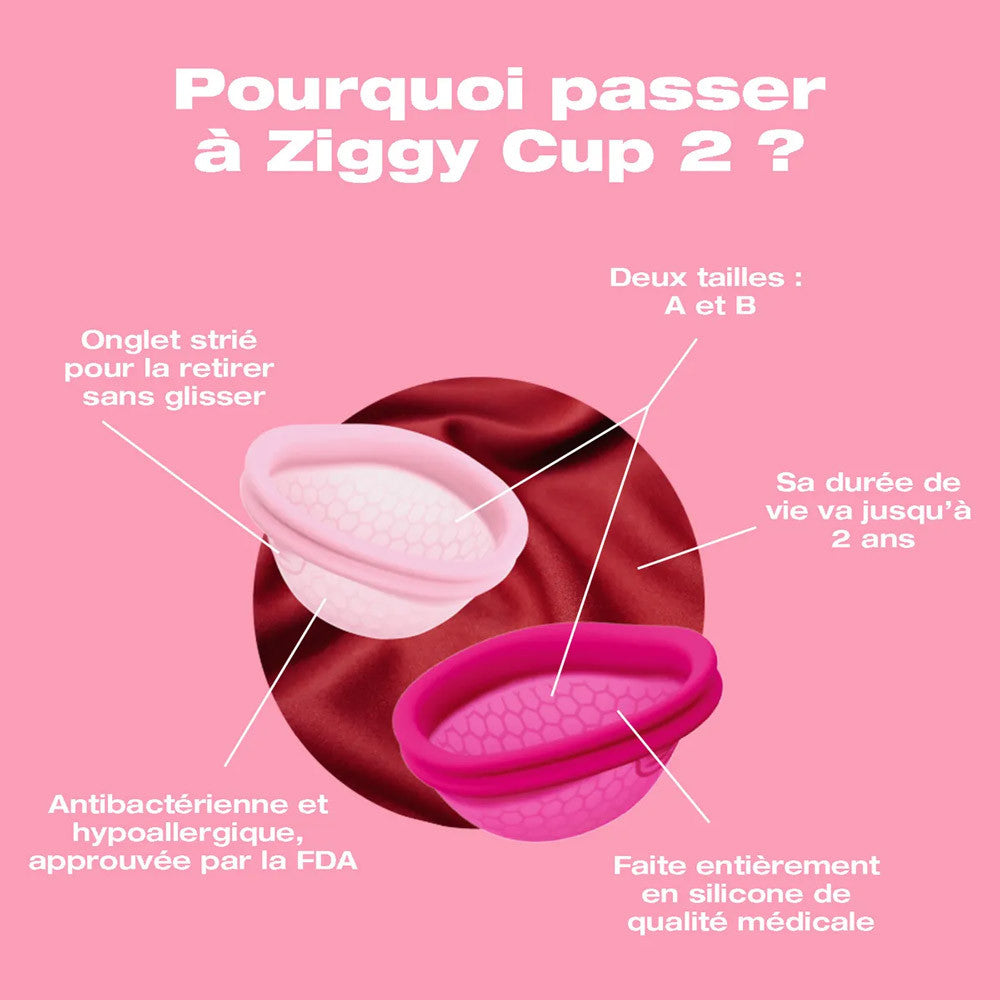 Coupe menstruelle Premium Ziggy Cup 2 - Taille A