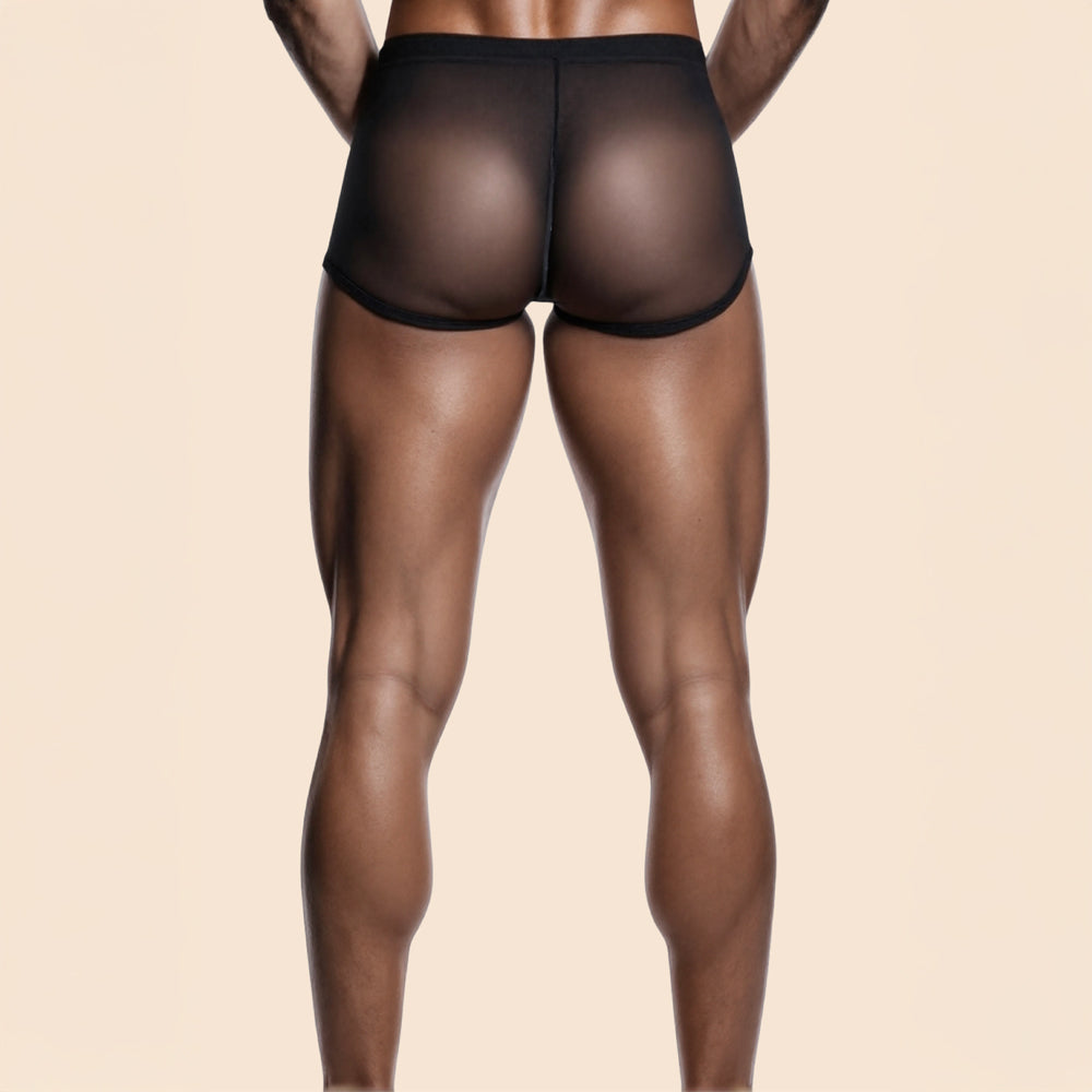 Boxer transparent Basil Passage du désir lingerie