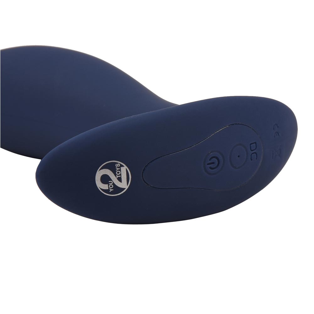 Masseur prostatique télécommandé L'Homme d'Aujourd'hui